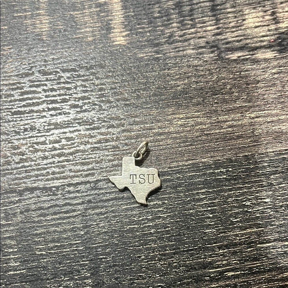 James Avery Sterling Silver TSU Texas Charm on silver necklace and purple charm